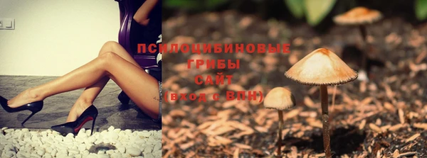 мескалин Балахна