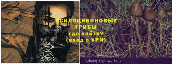 бутират Белокуриха