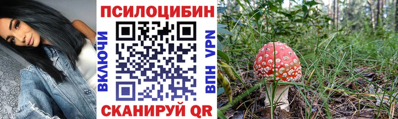 OMG зеркало Сегежа Галлюциногенные грибы ЛСД продажа наркотиков