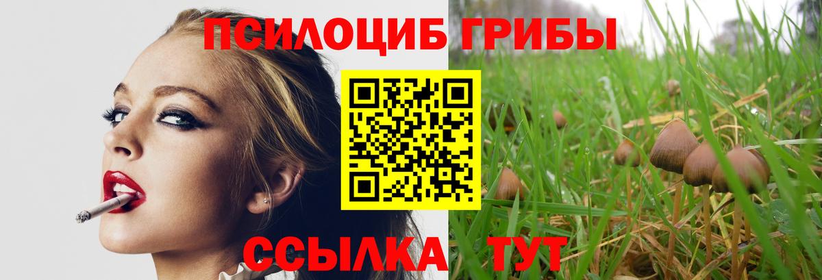Галлюциногенные грибы ЛСД  Вход с VPN  Сегежа 
